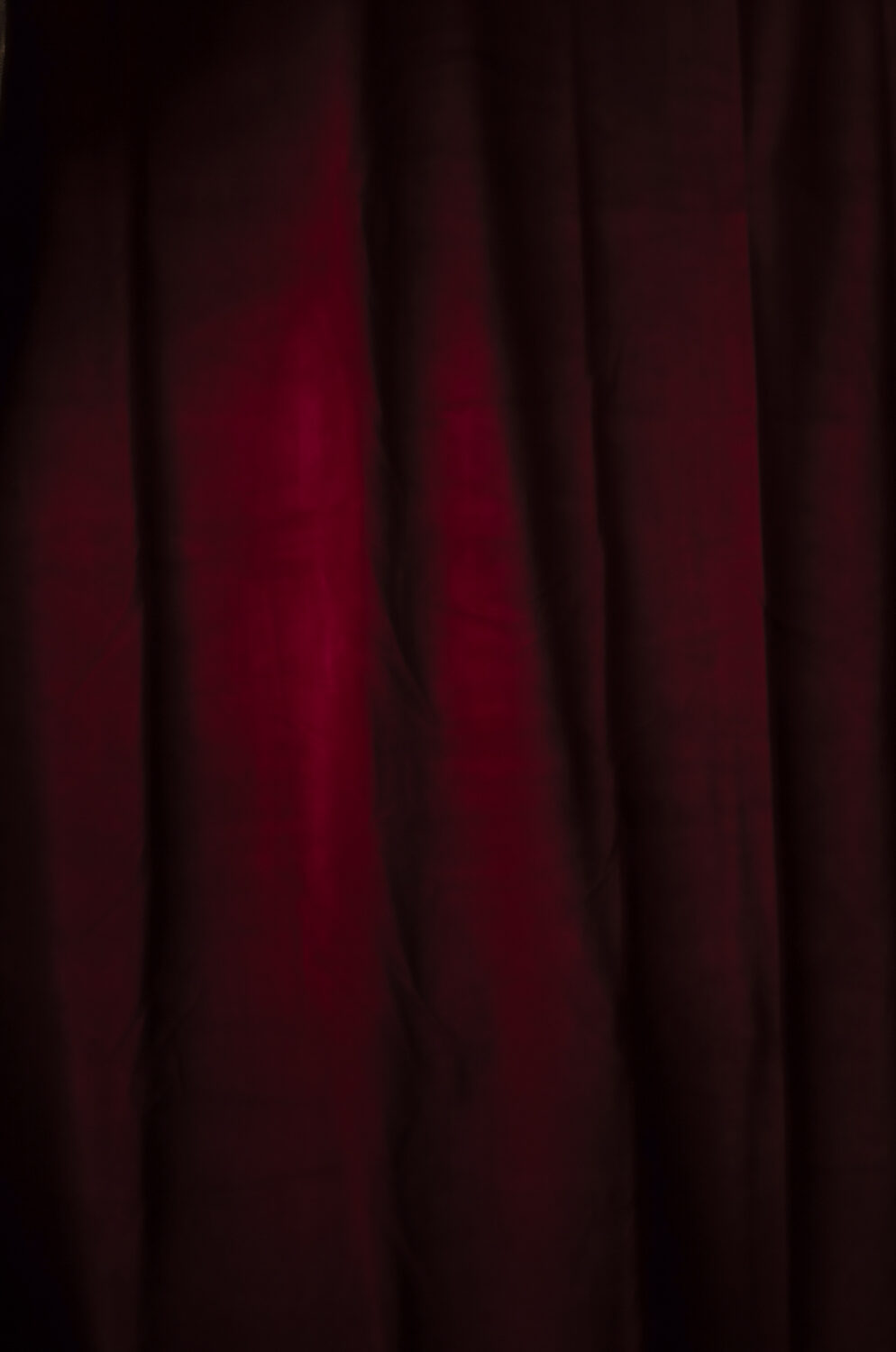 Artwins © Celine Andreassen_42