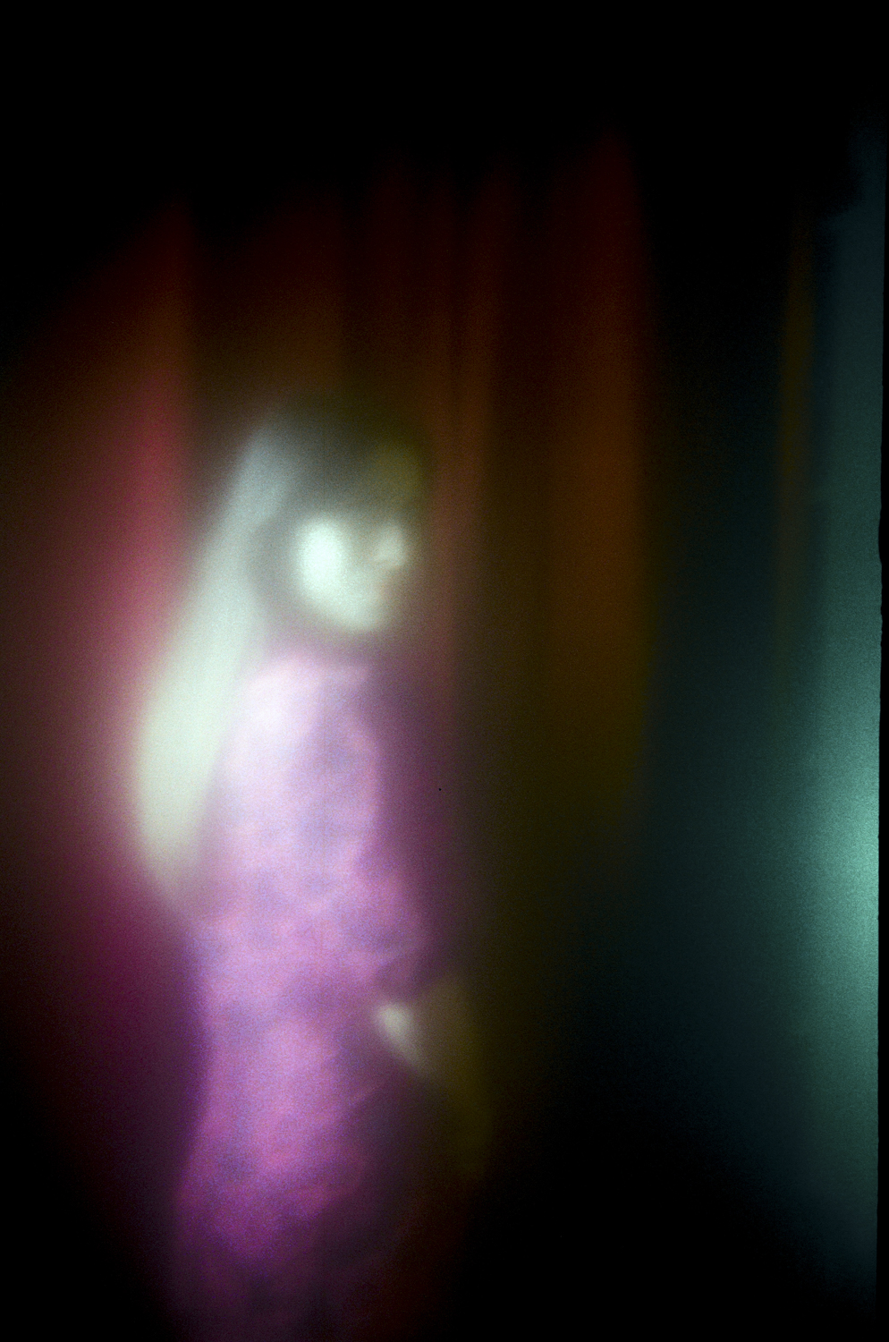 Artwins_Camera Obscura © Celine Andreassen_2_1