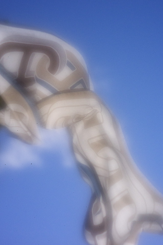 Celine-Andreassen_Anamoprhee-hermes_5