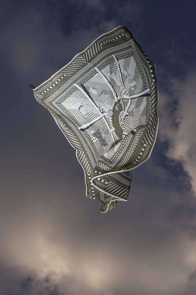 Celine-Andreassen_Anamoprhee-hermes_8