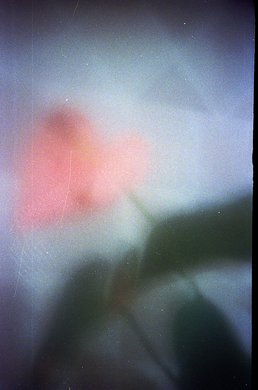 Celine-Andreassen_Fictional-but-familiar_3