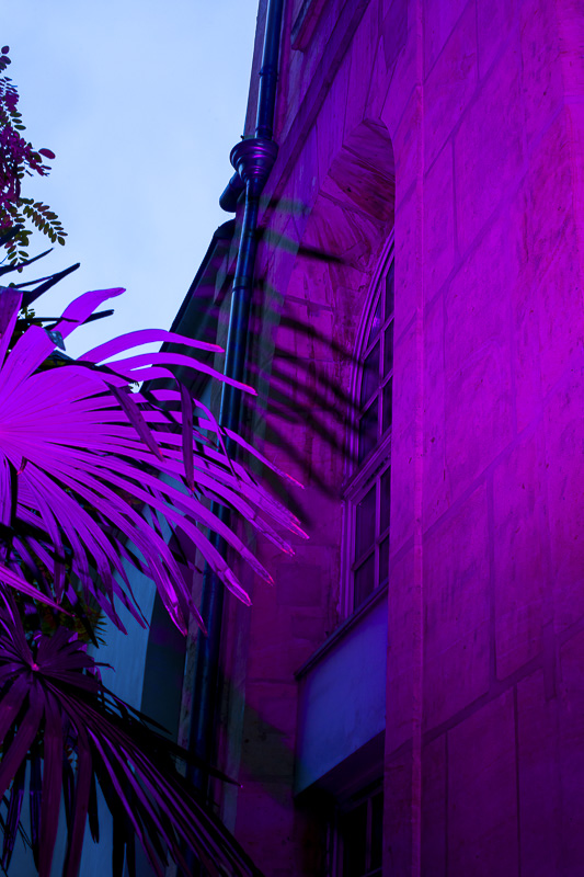 Celine-Andreassen_Maison-de-larchitecture