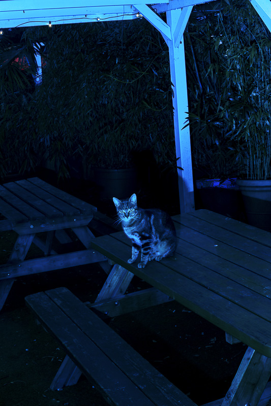 Celine-Andreassen_Maison-de-larchitecture_4