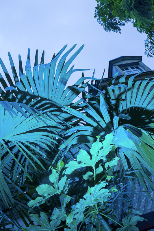 Celine-Andreassen_Maison-de-larchitecture_7