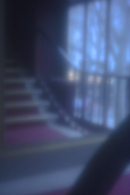 Celine-Andreassen_Renaissance_1