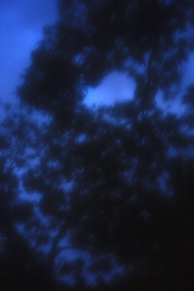 Celine-Andreassen_Zones