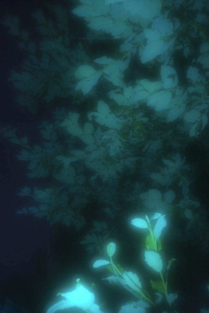 Celine-Andreassen_Zones_1