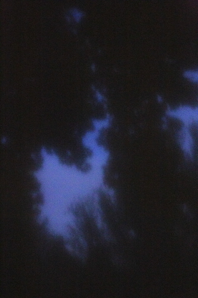 Celine-Andreassen_Zones_3