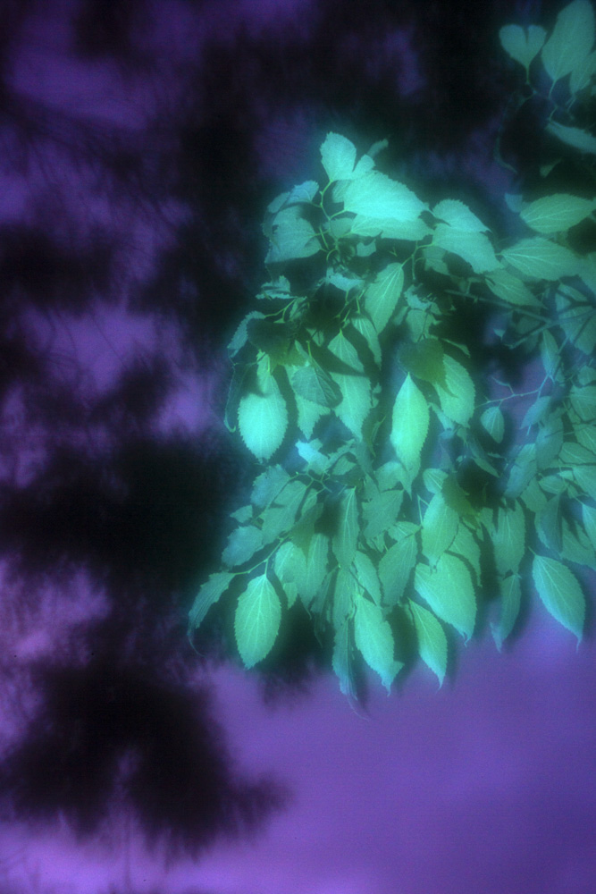 Celine-Andreassen_Zones_7