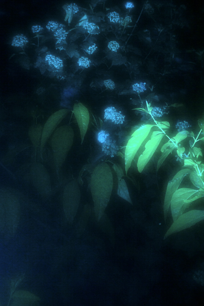 Celine-Andreassen_Zones_8