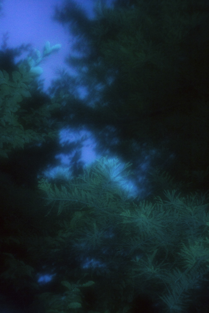 Celine-Andreassen_Zones_9