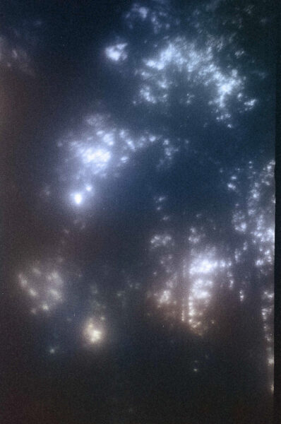 Celine-Andreassen_forest_3