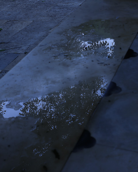 Celine-Andreassen_gates