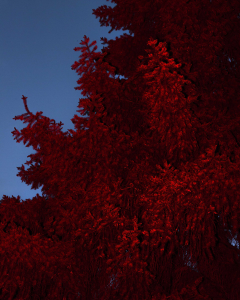 Celine-andreassen_garden_03_1